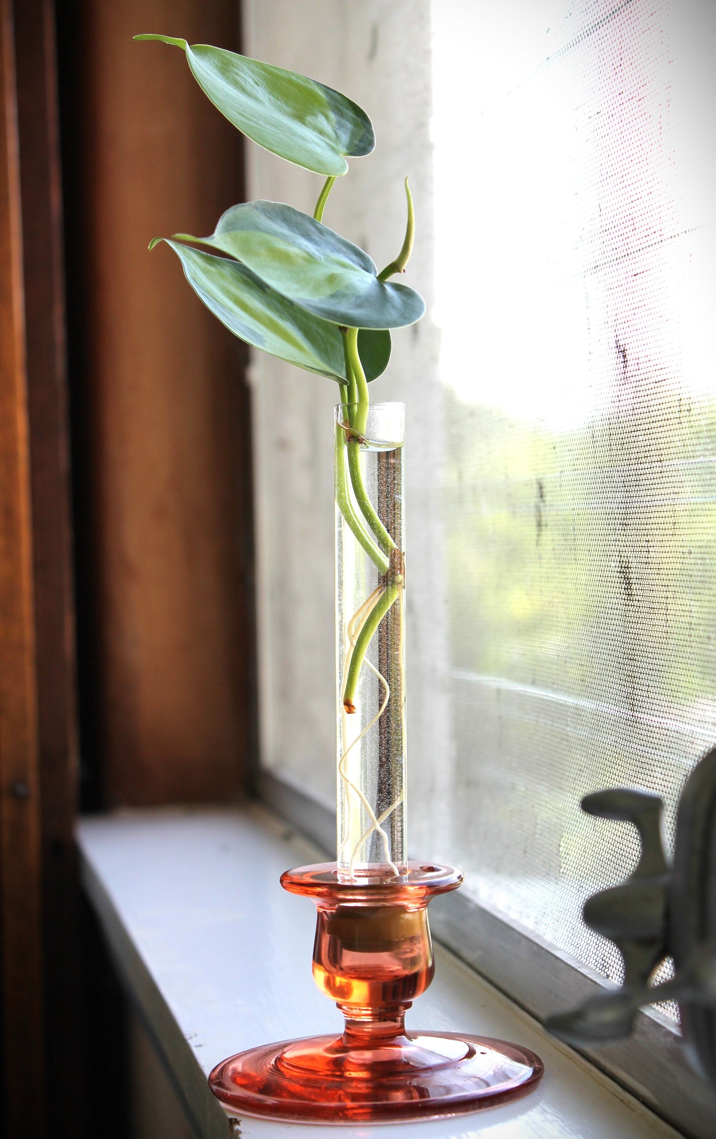 Base Vase