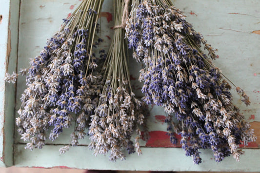 Dried Lavender