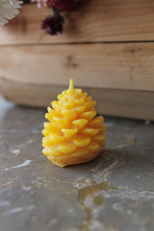 Pinecone Candle