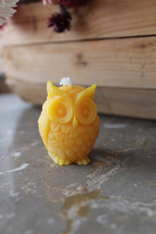 Owl Candle