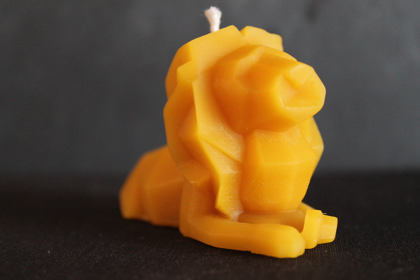 Lion Candle